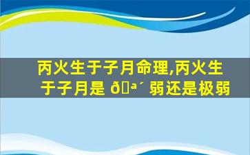 丙火生于子月命理,丙火生于子月是 🪴 弱还是极弱
